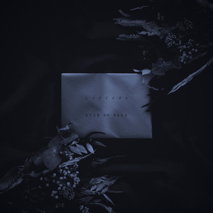 国产主播在线播放
